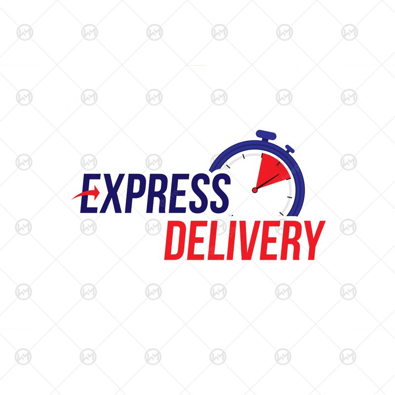 Express Delivery Express Delivery